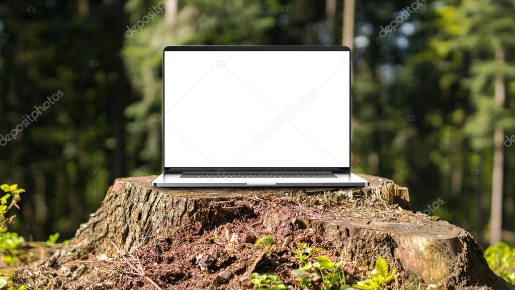 Laptop with blank screen in the forest.