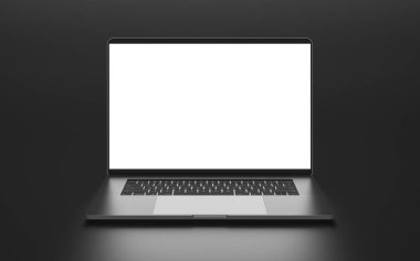 Laptop bir dikdörtgen ekran görüntüleri, beyaz izole ekleme.