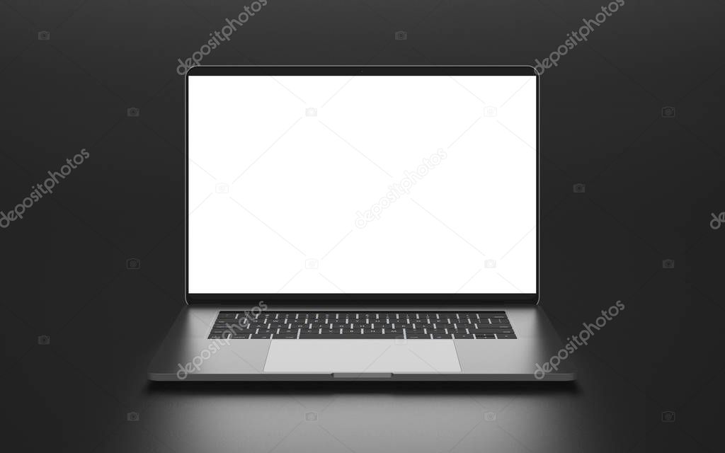 Laptop a rectangular screen for inserting images, isolated on white.