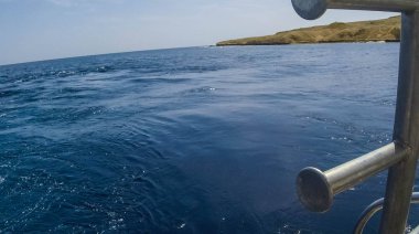 Balık ve mercanlar Kızıldeniz Mısır'ın fotoğrafı.