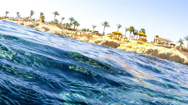 Foto Peces Corales Mar Rojo Egipto — Foto de Stock