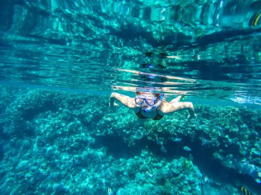 Coral red Sea'deki/daki yakınındaki kız yüzüyor.