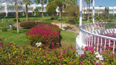 Kızılderili bir bahçe çiçek ve bir göl olduğunu.