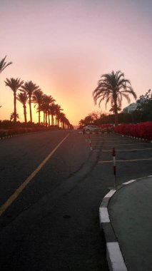 Avuç içi ve çiçeklerle Mısır'daki günbatımı.