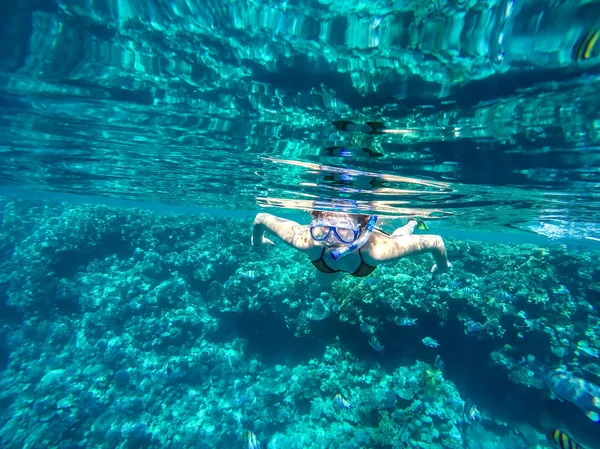 女孩在红海的珊瑚附近游泳 — 图库照片
