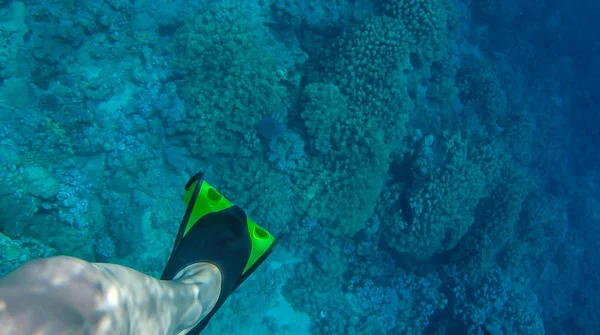 Menina Nada Perto Coral Mar Vermelho — Fotografia de Stock