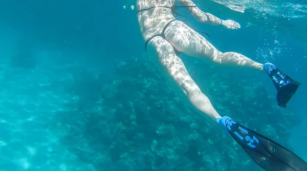 Girl Swims Coral Red Sea — Stock Photo, Image