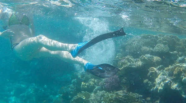Coral Red Sea Deki Daki Yakınındaki Kız Yüzüyor — Stok fotoğraf