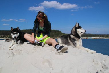 Çorap dış yapraklar ve iki gerçek husky ile fotoğraf.