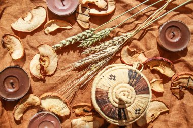 Kurutulmuş elma ve sivri ile sonbahar flatlay.