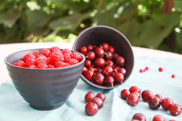 Flatlay Raspberries Blueberries Gooseberries — Stock Photo, Image