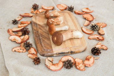 Mantar ile Şükran ve sonbahar kompozisyon.