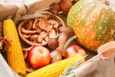 Şükran günü düşmek kompozisyon: kabak, elma, mantar, Mısır, Kuruyemiş