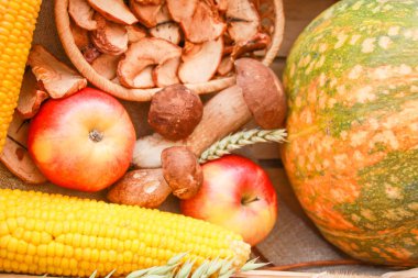 Şükran günü düşmek kompozisyon: kabak, elma, mantar, Mısır, Kuruyemiş