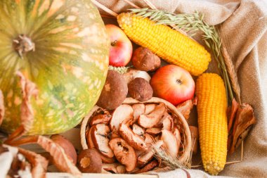 Şükran günü düşmek kompozisyon: kabak, elma, mantar, Mısır, Kuruyemiş