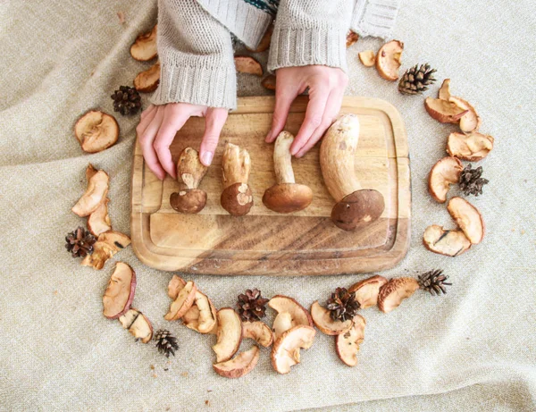Ação Graças Composição Queda Com Cogumelos Mãos — Fotografia de Stock