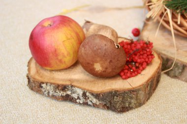 Şükran günü için sonbahar kompozisyon Mısır, elma, mantar ve kabak.