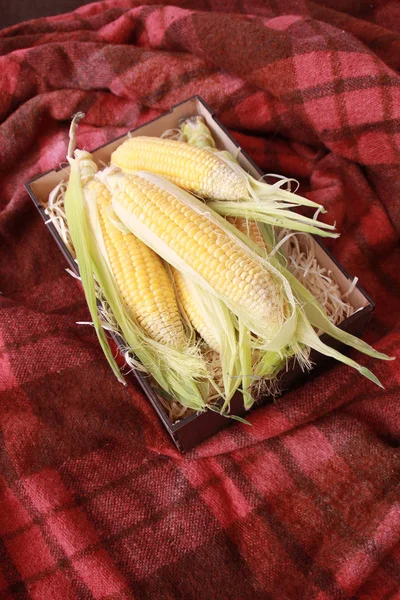 Photo Yellow Corn Table — Stock Photo, Image