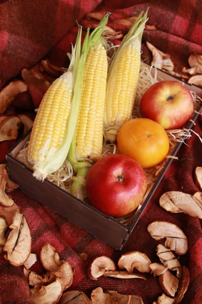 Fall Composition Thanksgiving Day Corn Apple Mushrooms Pumpkin — Stock Photo, Image