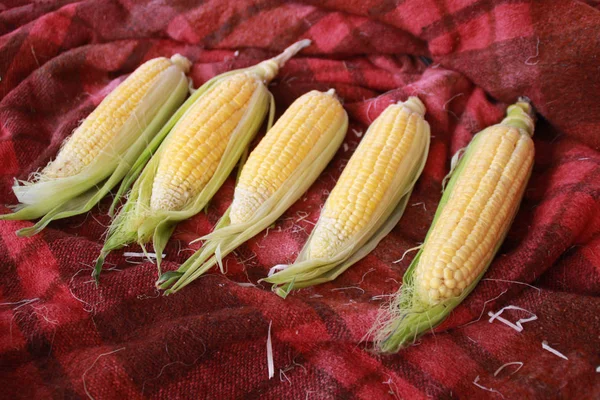 Photo Yellow Corn Table — Stock Photo, Image