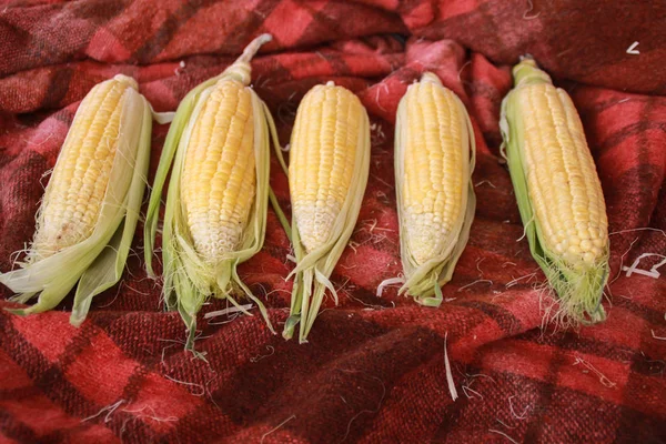 Photo Yellow Corn Table — Stock Photo, Image