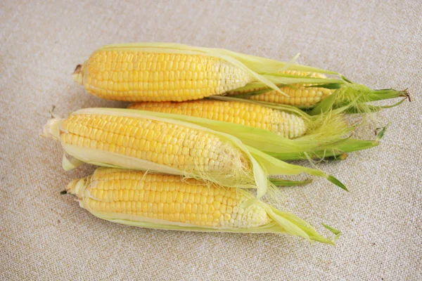 Photo Yellow Corn Table — Stock Photo, Image