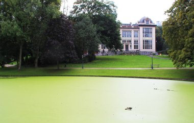 Yosun ile yeşil göl fotoğrafı.