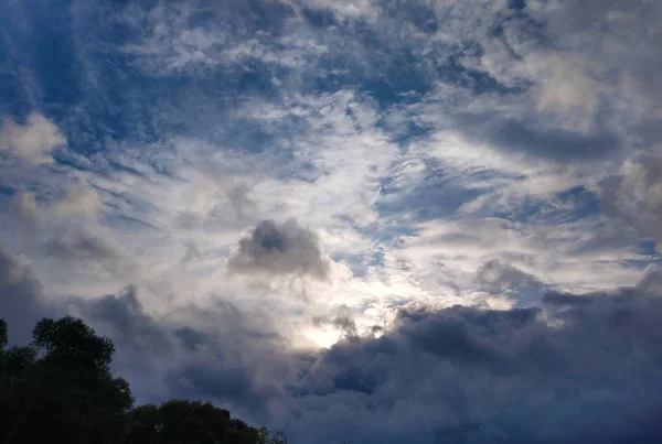 木と曇り空 — ストック写真