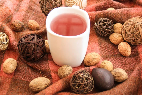 Beyaz fincan çay üzerinde kırmızı Tekstil ile Sonbahar dekorasyonu.