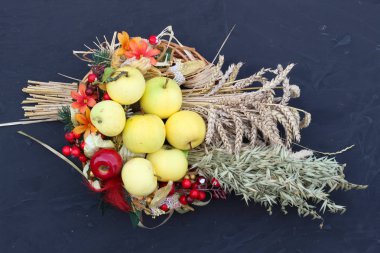 Sonbaharda hasat düzeni. Sarı elma, buğday, arpa siyah bir zemin üzerine.