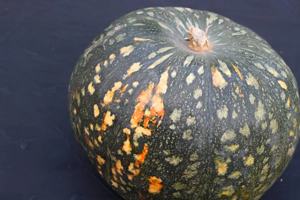 Sonbaharda hasat düzeni. Siyah bir arka plan üzerinde kabak.