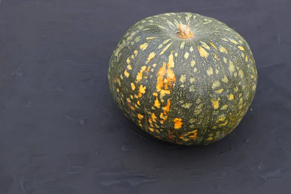 Sonbaharda hasat düzeni. Siyah bir arka plan üzerinde kabak.