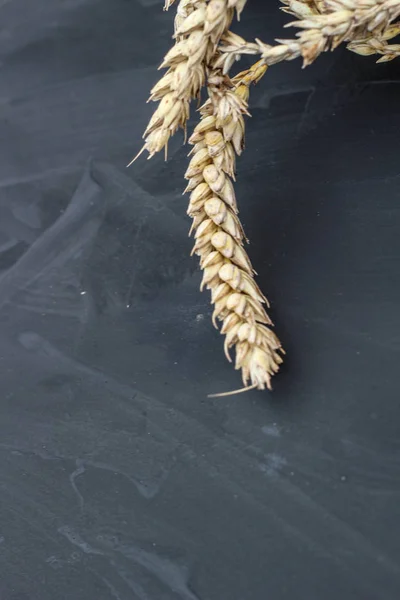 Layout of autumn harvest. Wheat  on a black background.