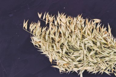 Sonbaharda hasat düzeni. Siyah bir zemin üzerine arpa.