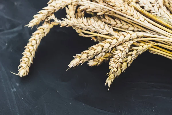 Layout of autumn harvest. Wheat  on a black background.