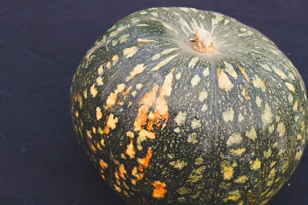 Layout Autumn Harvest Pumpkin Black Background — Stock Photo, Image