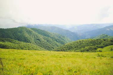 Yaz yeşil Karpatlar Ukrayna. Dağların üzerinden gökyüzüdür. Bir cip üzerinde seyahat ederken atmosferik manzaralar. Offroad seferi.