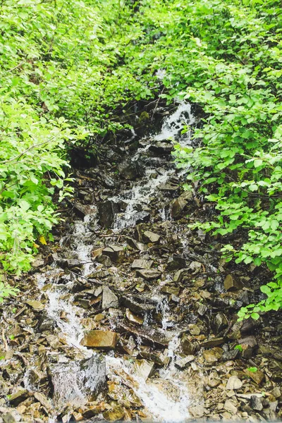 Les Montagnes Vertes Des Carpates Été Ukraine Ciel Est Dessus — Photo