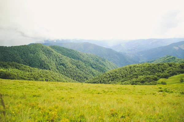 Sommaren Gröna Karpaterna Ukraina Himlen Över Bergen Stämningsfulla Landskap När — Stockfoto