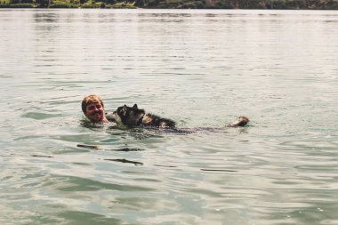 Siyah ve beyaz husky zevk, çalışan, su, aptal sarılma. Güneşli bir gün gölde ve bir köpek yürüyüş ile ormanda. Adamla husky Yüzme.