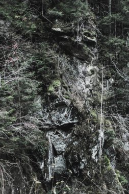 Sonbahar dağlar Ukrayna Karpat Dağları. Taş taş ve dağ nehir. Taş kayalardan yüz.