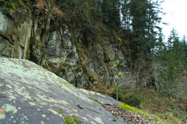 Sonbahar dağlar Ukrayna Karpat Dağları. Taş taş ve dağ nehir.