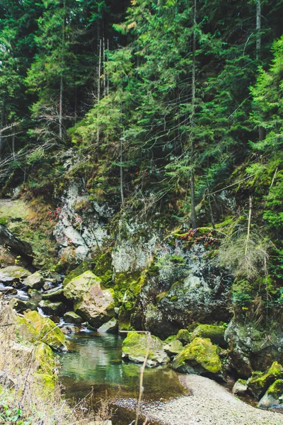 Őszi Hegyek Ukrán Kárpátokban Sziklák Mountain River — Stock Fotó