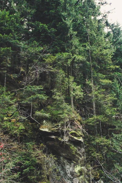 Őszi Hegyek Ukrán Kárpátokban Sziklák Mountain River — Stock Fotó