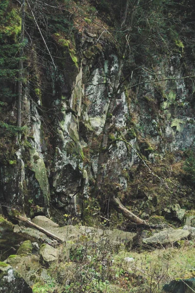 Herfst Bergen Oekraïense Karpaten Stenen Rotsen Rivier Van Berg — Stockfoto