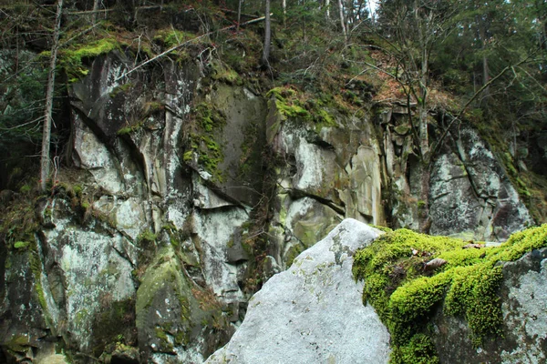 Herfst Bergen Oekraïense Karpaten Stenen Rotsen Berg Rivier Groene Mos — Stockfoto