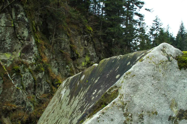 Осінніх Гор Українських Карпат Камінь Порід Гірській Річці — стокове фото