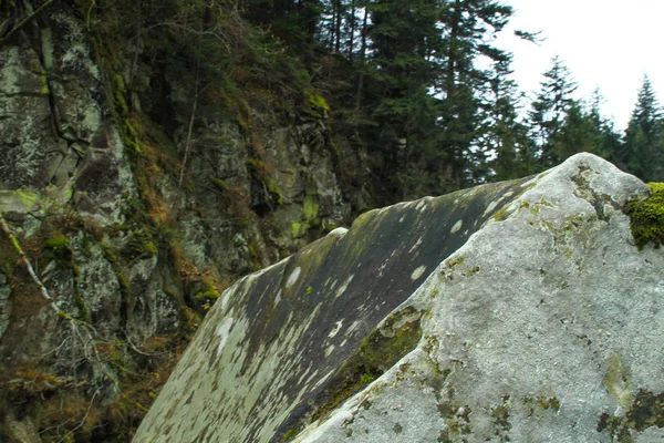 Őszi Hegyek Ukrán Kárpátokban Sziklák Mountain River — Stock Fotó