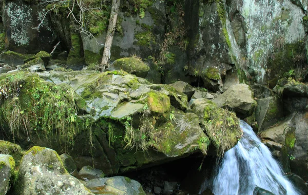 Herfst Bergen Oekraïense Karpaten Stenen Rotsen Berg Rivier Watervallen — Stockfoto