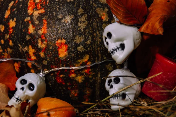 Halloween Bientôt Composition Automne Avec Des Décorations Halloween Crâne Guirlande — Photo